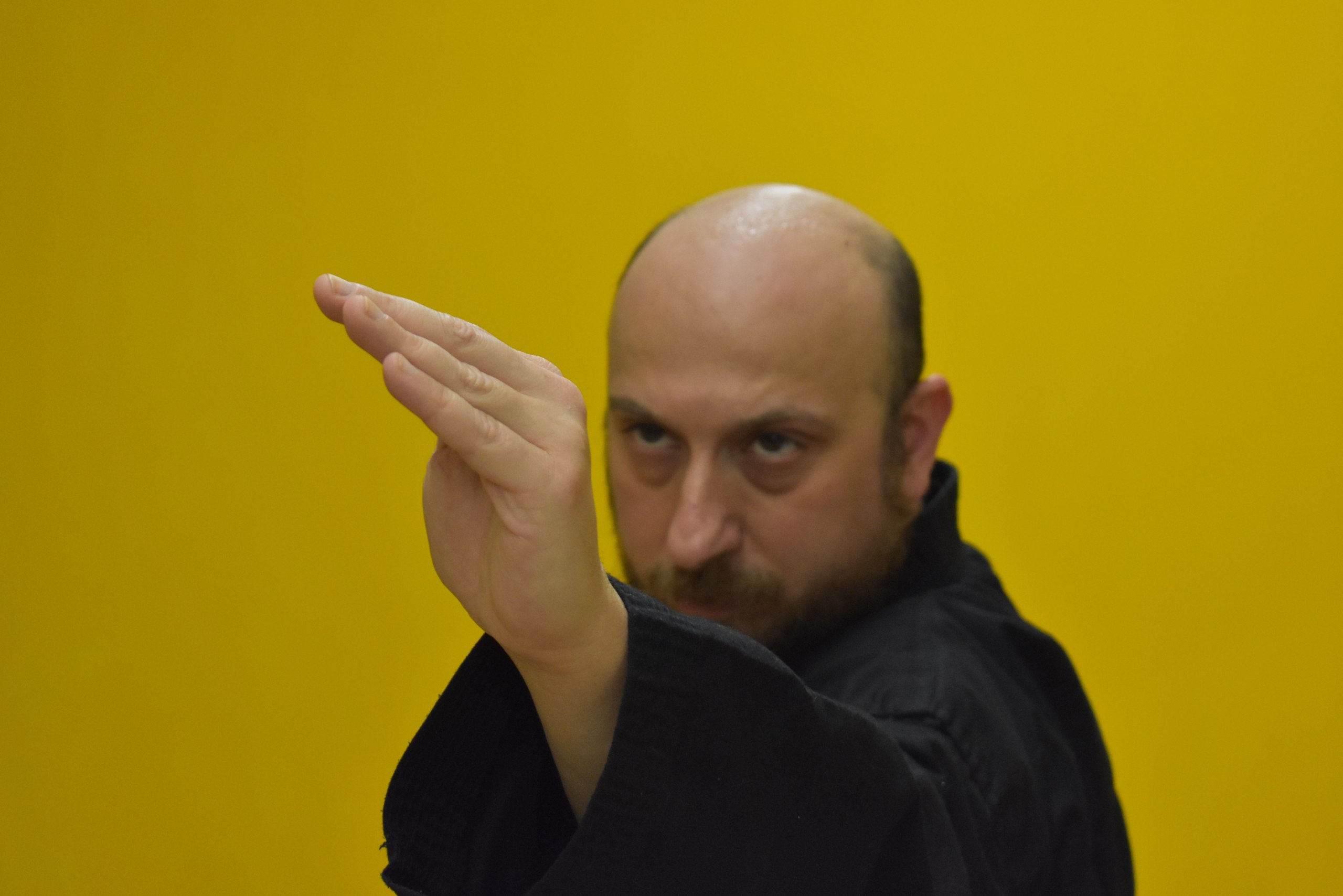 Sensei in azione